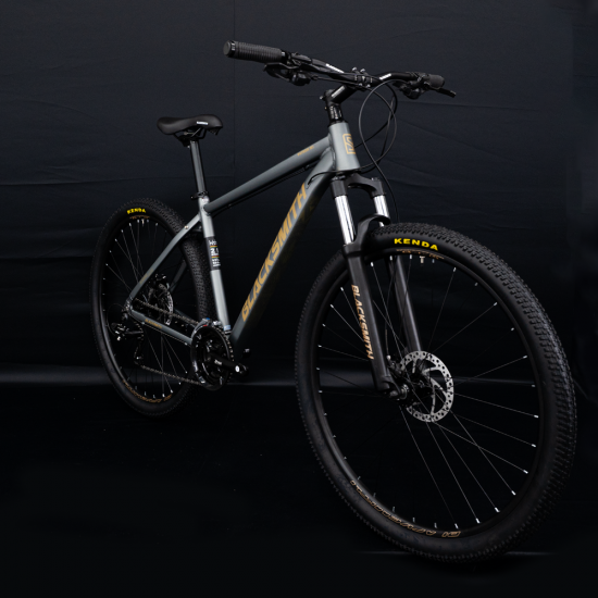 5S 페트론 M3 29