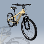 6S 페트론 20