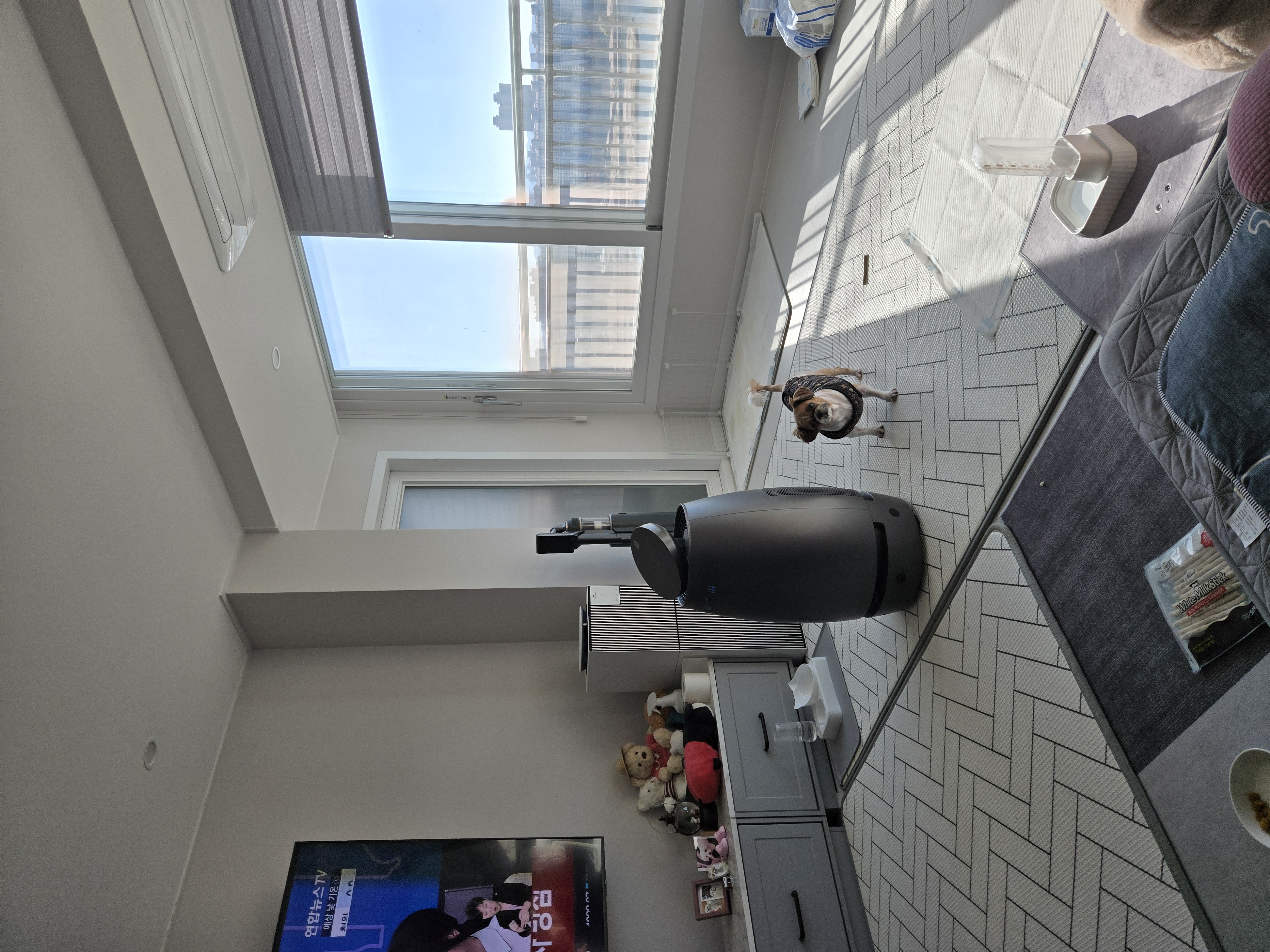 review_image