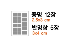 증명, 반명함