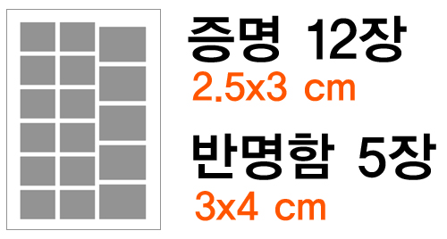 증명, 반명함