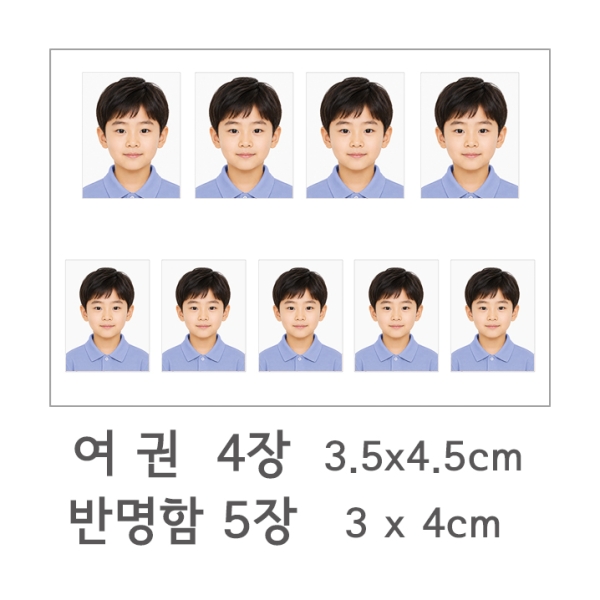 반명함, 여권