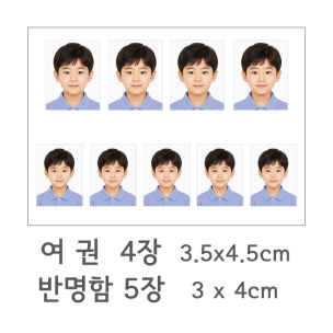 반명함, 여권