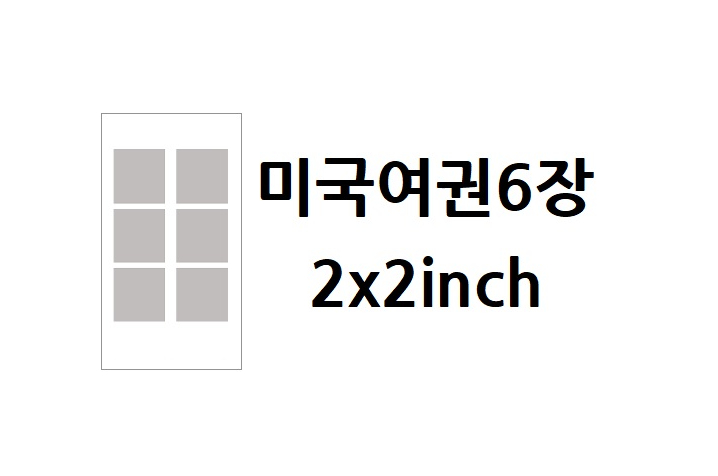 미국여권