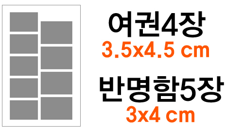 [코팅] 반명함, 여권사진