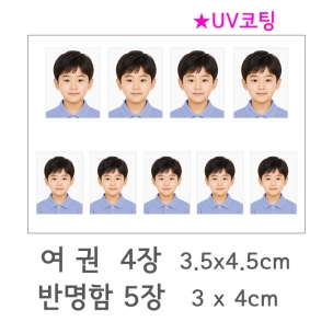 [코팅] 반명함, 여권사진