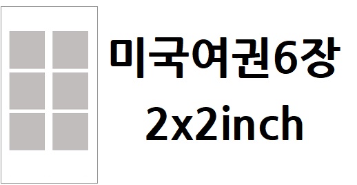 [코팅] 미국여권