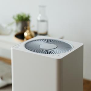 (시즌on) BALMUDA The Pure<P>(White)