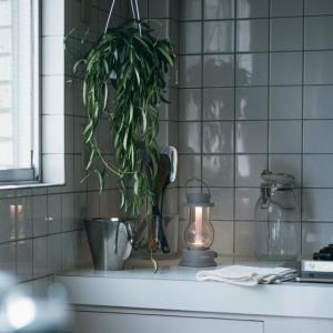 BALMUDA The Lantern(Gray)