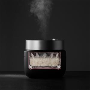 BALMUDA The Gohan(Black)