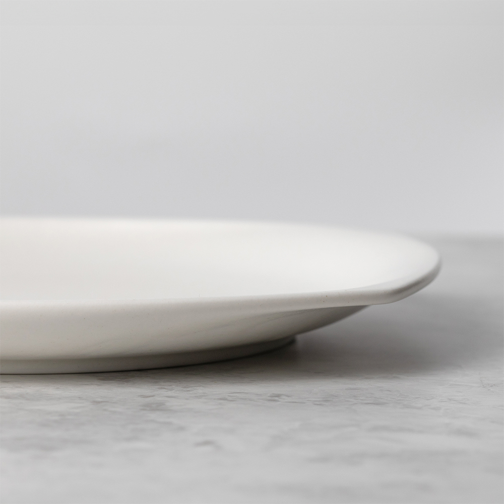 살라만더 트레이 (매트화이트)