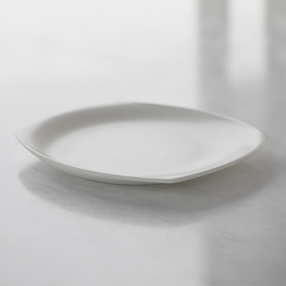 살라만더 트레이 (매트화이트)