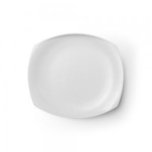 살라만더 트레이 (매트화이트)