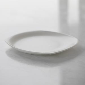 살라만더 트레이 (매트화이트)