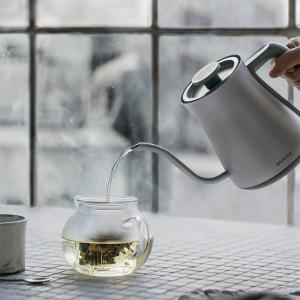 BALMUDA The Pot (Silver)