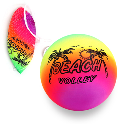 [09797]2000야자수비치볼[천B-2]