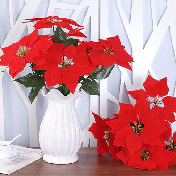 [10688]겨울꽃 포인세피아 5부쉬