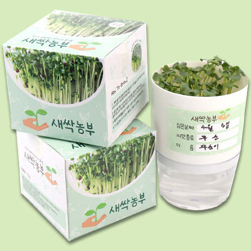 [11333]5000새싹농부(무순)[본]