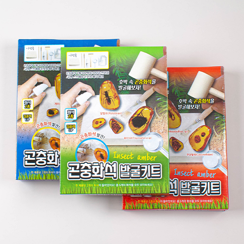 [11741]6000곤충화석발굴키트[B-2]