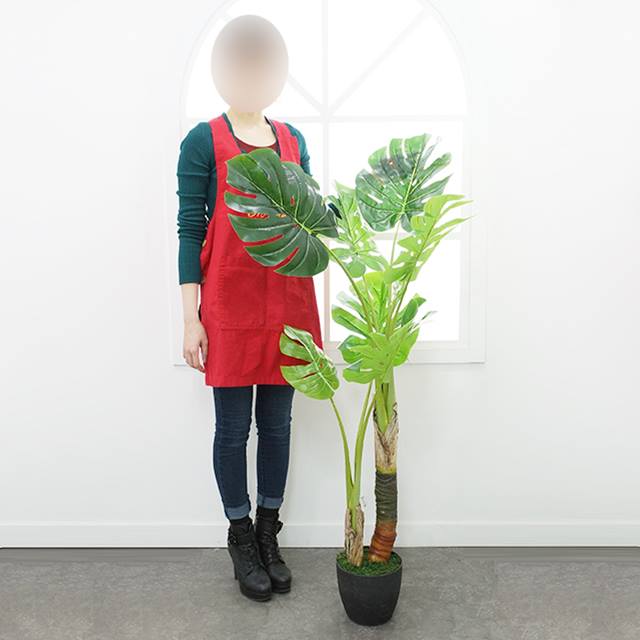 조화 인조 필로덴드론 타로잎 토란잎 스플릿 나무 (소) 120~150cm