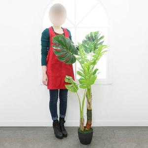 조화 인조 필로덴드론 타로잎 토란잎 스플릿 나무 (소) 120~150cm
