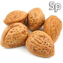 복숭아씨 모형 씨앗 베이지 3.4cm 5개 세트 인조 과일모형 가짜 과일 모조 열매 장식 UR