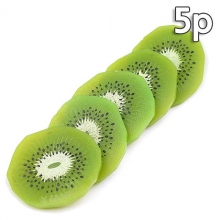 조각 슬라이스 키위 모형 5.3cm 5개 세트 과일모형 음식 열매 장식 진열 소품 꾸미기 UR