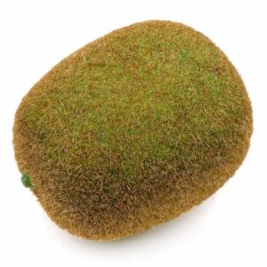 인조 키위 모형 참다래 7.2cm 과일모형 모조 열매 장식 진열 소품 전시 꾸미기
