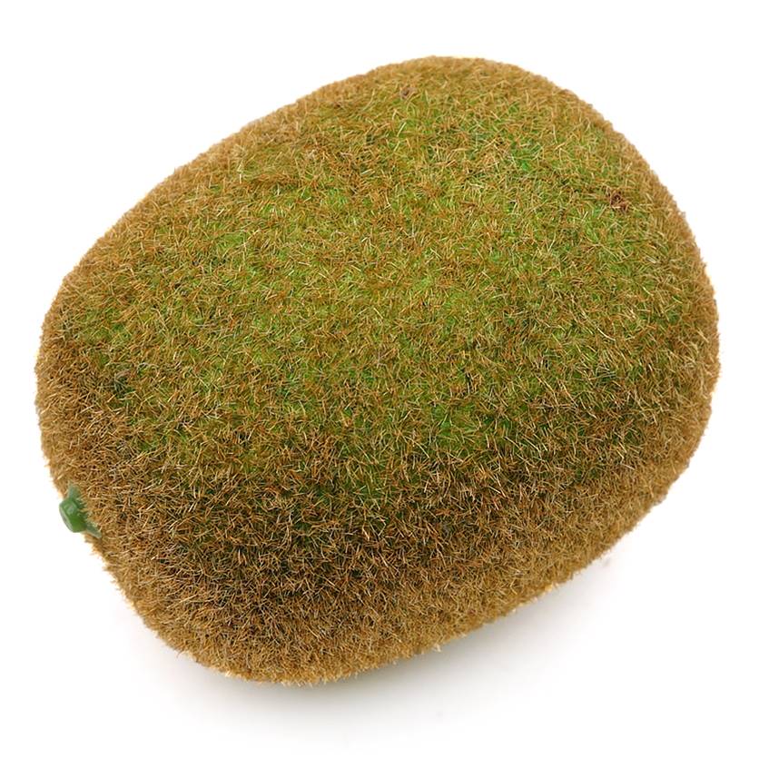 인조 키위 모형 참다래 7.2cm 과일모형 모조 열매 장식 진열 소품 전시 꾸미기 인조 키위 모형 참다래 7.2cm 과일모형 모조 열매 장식 진열 소품 전시 꾸미기