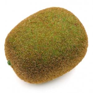 인조 키위 모형 참다래 7.2cm 과일모형 모조 열매 장식 진열 소품 전시 꾸미기