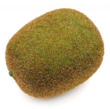 인조 키위 모형 참다래 7.2cm 과일모형 모조 열매 장식 진열 소품 전시 꾸미기