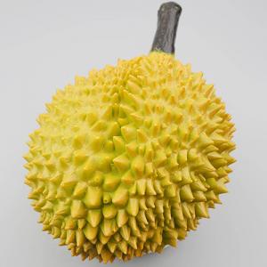 두리안 모형 25cm 과일모형 브래드프루츠 잭후르츠 모형 가짜 인조 열대 과일 모조 열매