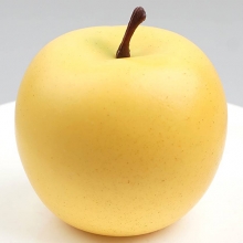 인조 노랑 사과 모형 골든 딜리셔스 8.2cm 모조 과일모형 음식모형 가짜사과 장식 진열 소품