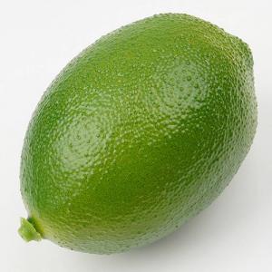 청 레몬 모형 라임 그린 6.8cm 모조 과일모형 음식 장식 데코 꾸미기 소품 열매