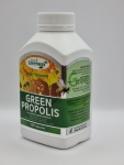 네이쳐스그린웨이 그린 프로폴리스 1000mg 브라질산 300정