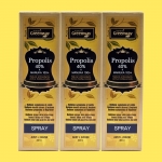 호주 뿌리는프로폴리스 스프레이 플라보노이드 17mg 40% 30ml, 3개세트 네이쳐스 그린웨이