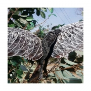 꾸며보자 힘쎈 독수리 (10개입) 꾸미기 DIY 미술 공예