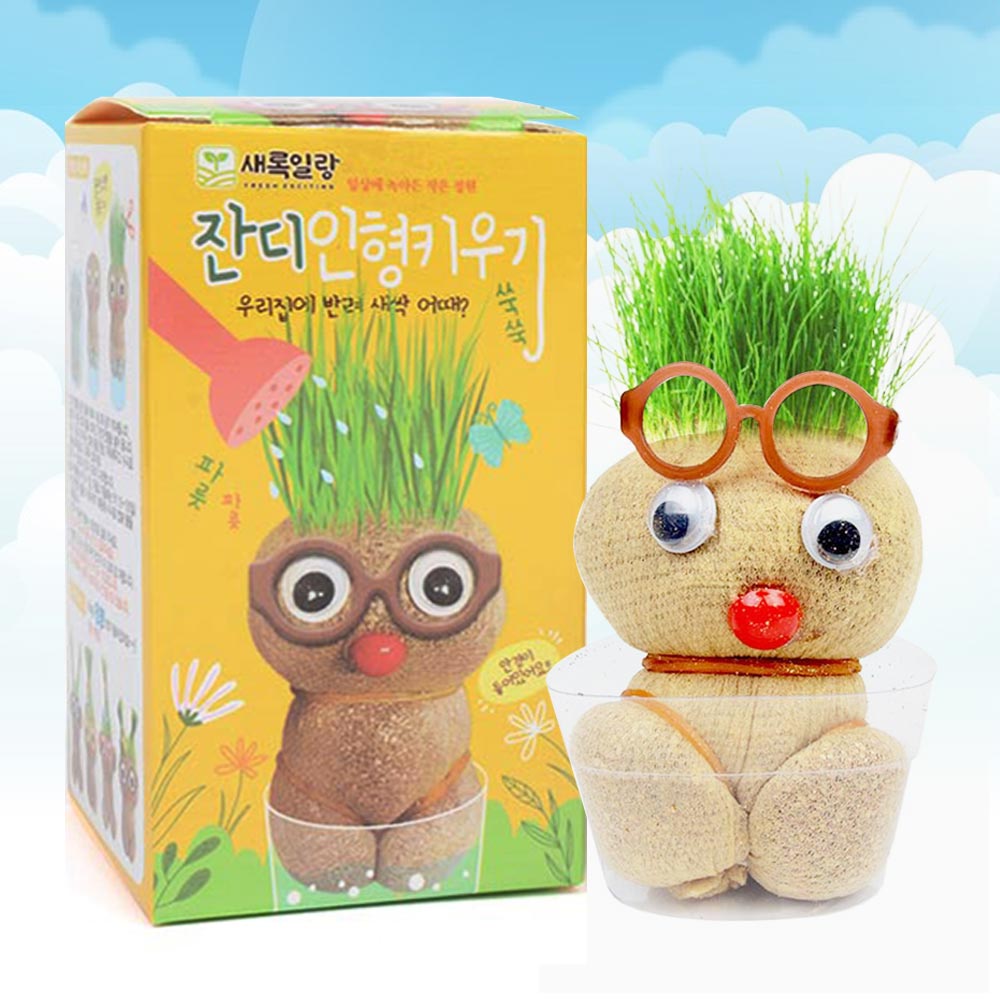 못난이 잔디인형 키우기 (1p) 식물키우기 식물재배키트