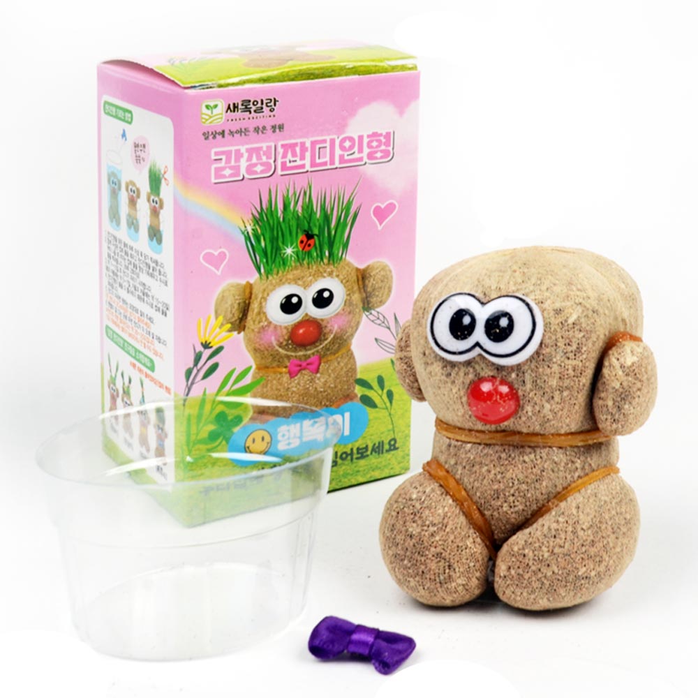 표정 감정 잔디인형 키우기 (1p) 식물키우기 식물재배키트