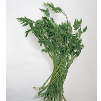 미나리 200g /  금요일만배송