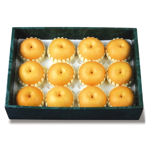 장흥배 7.5kg 12과내