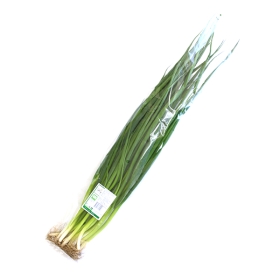중파(무농) 300g