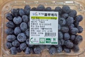 블루베리(생과) 500g - 수확량이적음