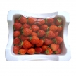 딸기(소)쨈용 1kg - 택배발송안됨