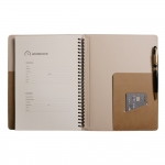 25절 파워 브라운 특안식