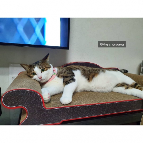 [700] 쇼파 X 2개+숨숨집포장박스