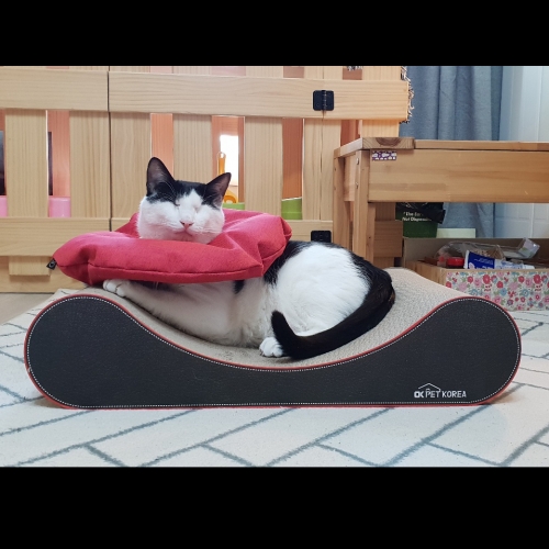 [다슬이Pillow]Pillow(65cm)