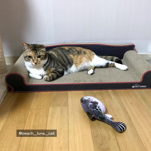 [700] 쇼파(70cm)