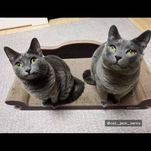 [700] 쇼파(70cm)