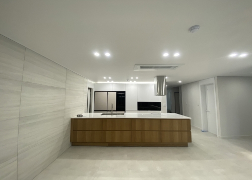 비브랜드 & 무늬목 & 오로라